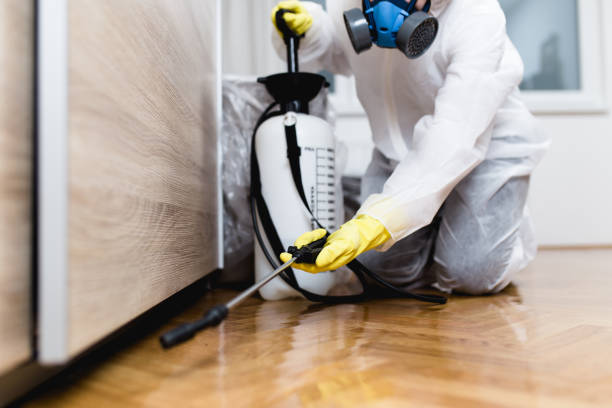 Trusted Golden Grove, SC Pest Control Experts