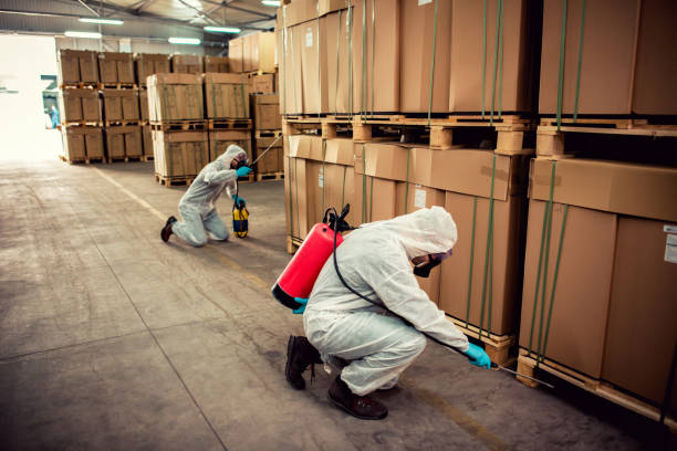 Best Flea Control Services  in Golden Grove, SC