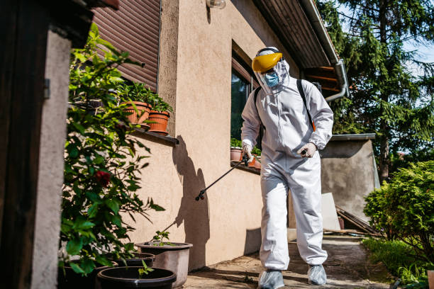 Best Pest Control Treatment  in Golden Grove, SC