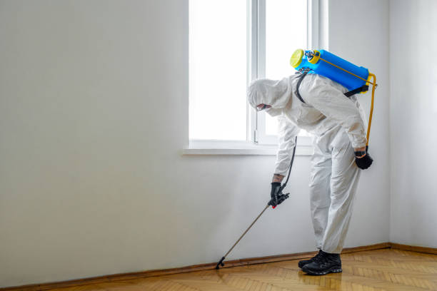 Best Emergency Pest Control  in Golden Grove, SC