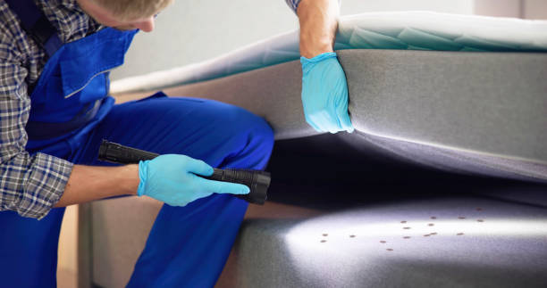 Best Bed Bug Extermination  in Golden Grove, SC
