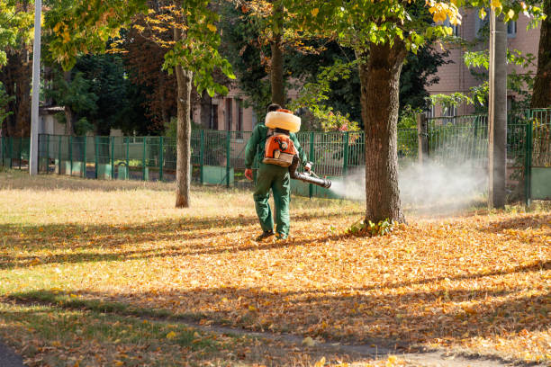 Best Wasp Removal Services  in Golden Grove, SC