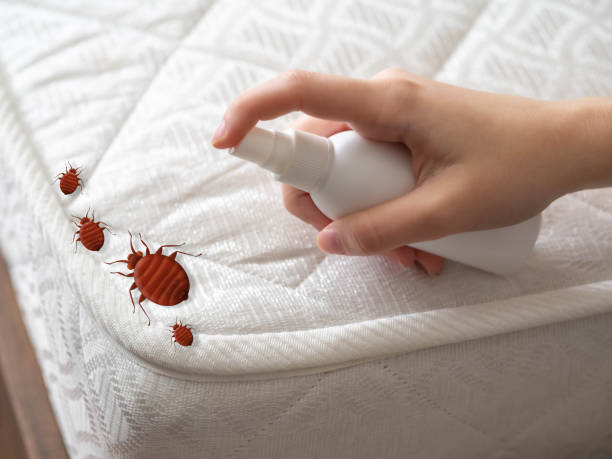 Best Affordable Pest Control Services  in Golden Grove, SC