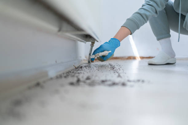 Best Wasp Removal Services  in Golden Grove, SC